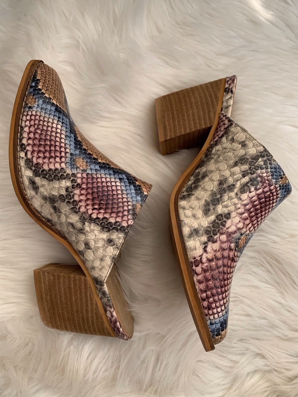 Arider Girl Snake-Print Block Heel Mules in Pink & Blue